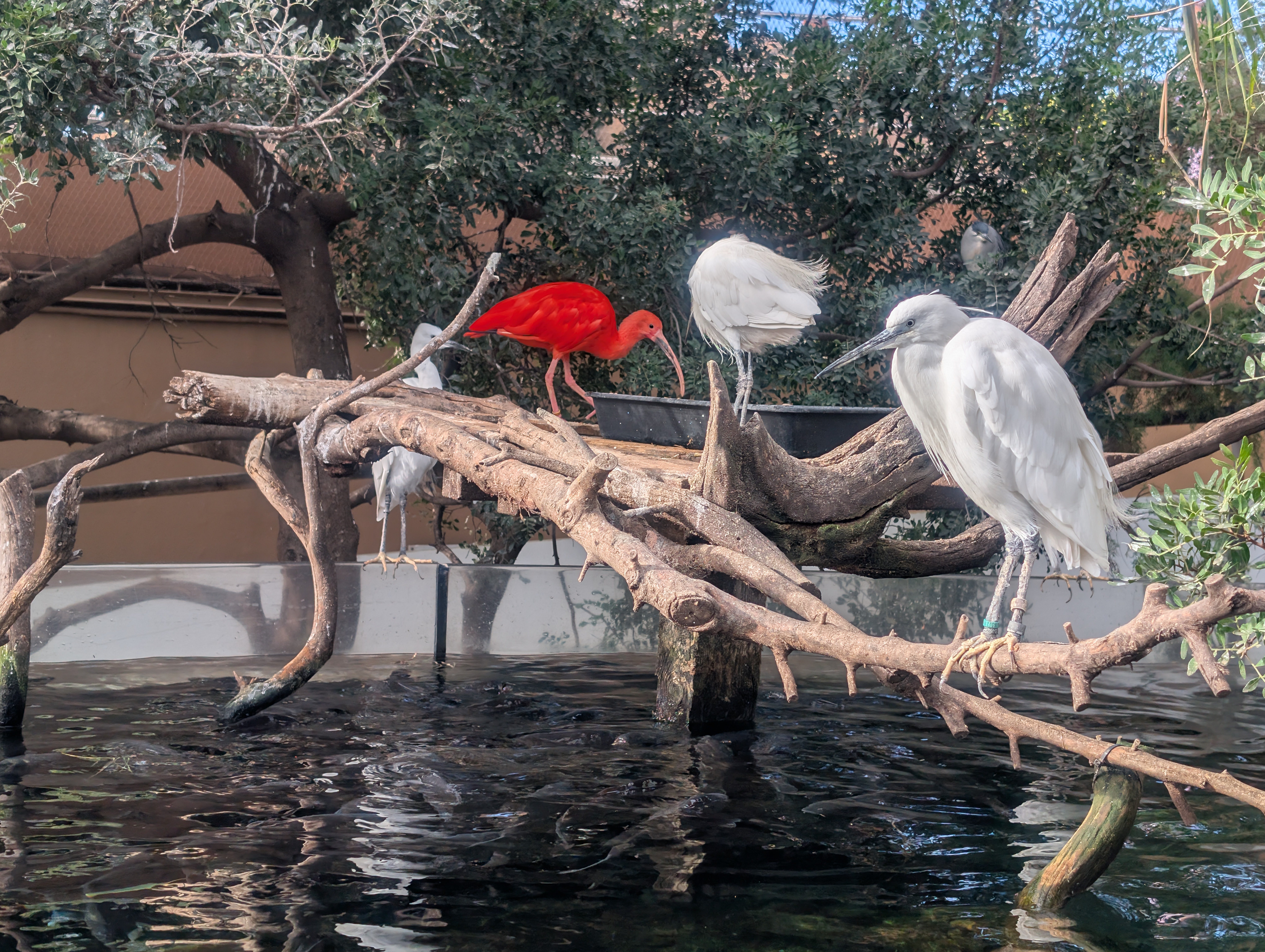 PXL_20241122_095311665.RAW-01.COVER_